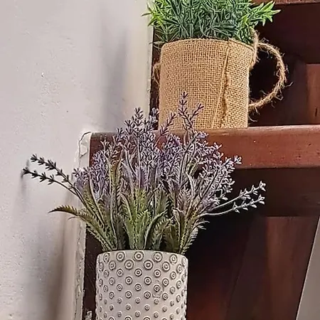 Turin-centric Con Terrazza *